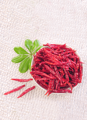 ӡ��S17���� �����ȣ�11�f(w��n)-13�f(w��n)SHU��