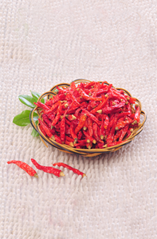 �tҰɽ������������10�fSHU)