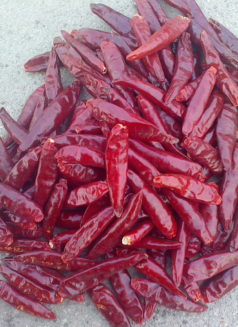 �t̫ꖸ������������ͣ�6�f����SHU��