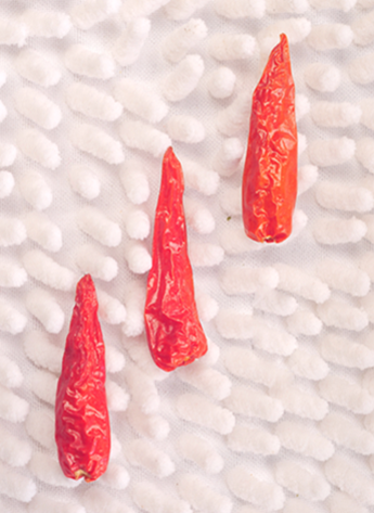 С��������������12�f(w��n)SHU)