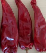 �涼�t��΢������1�f����SHU��