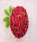 �M���ǣ���������10�f(w��n)����SHU��