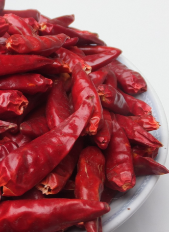 ��һ���t������������5�f(w��n)-6�f(w��n)SHU��