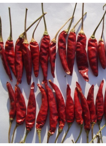 �涼�t��΢���ͣ�1�f����SHU��