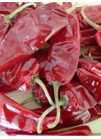 �涼�t��΢������1�f����SHU��