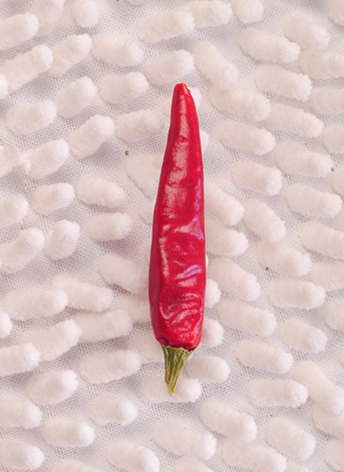 �M���ǣ���������10�f����SHU��