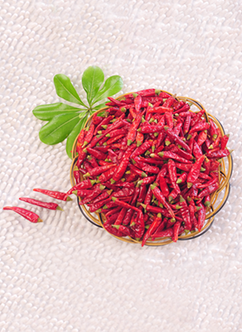 �M���ǣ���������10�f����SHU��