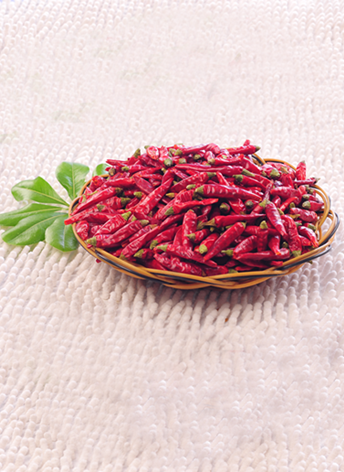 �M���ǣ������ͣ�10�f����SHU��