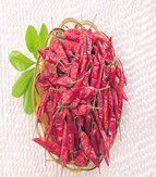 ������������������10-11SHU��