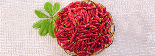 �M���ǣ���������10�f����SHU��