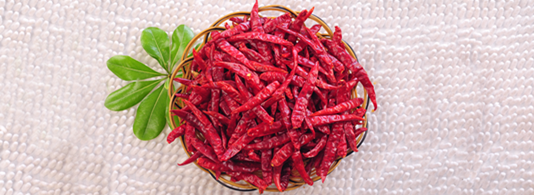 ӡ��S17���� ��������8�f(w��n)-10�f(w��n)SHU��