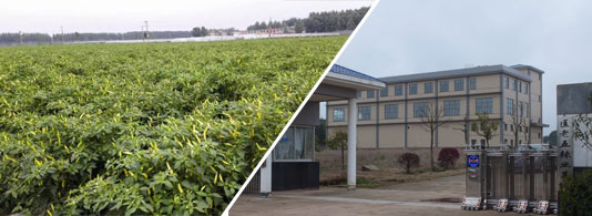 ӡ��S4��������������4�f����SHU��