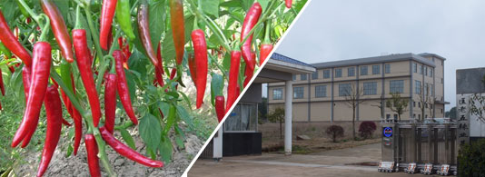 ������������������10-11SHU��