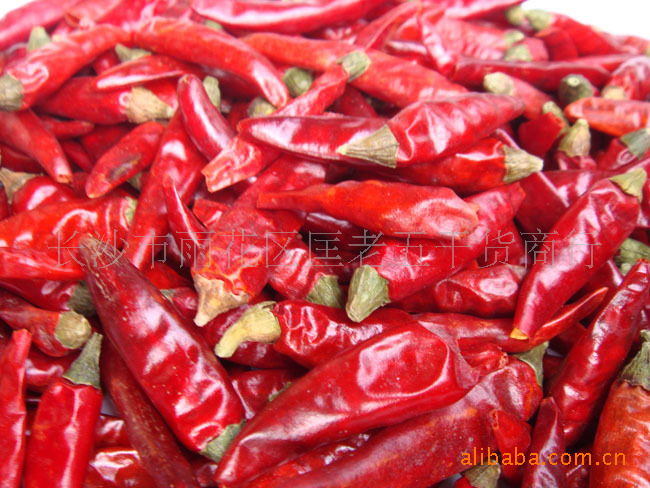 ���������I(y��)�M���Ǹ�����