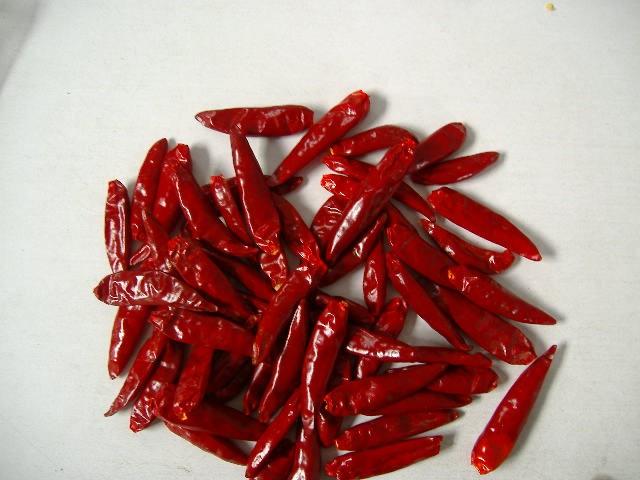 ���������I(y��)��һ��С�t��