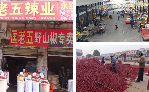 ���������l(f��)�Ј�