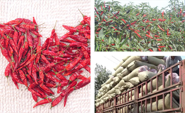 ���������l(f��)