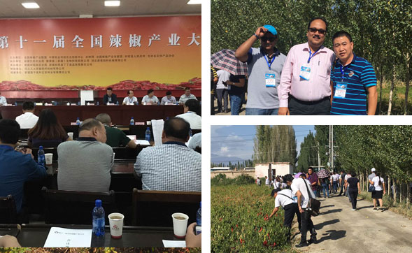 Ұɽ���r(ji��)��