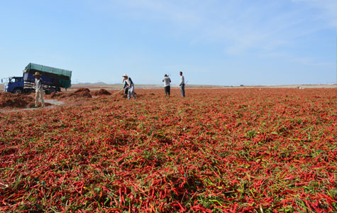 Ұɽ���r��