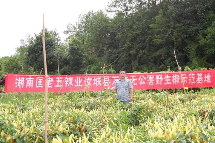 ��(y��u)�|������