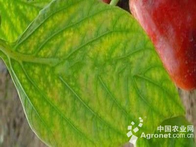 ��(y��u)�|������