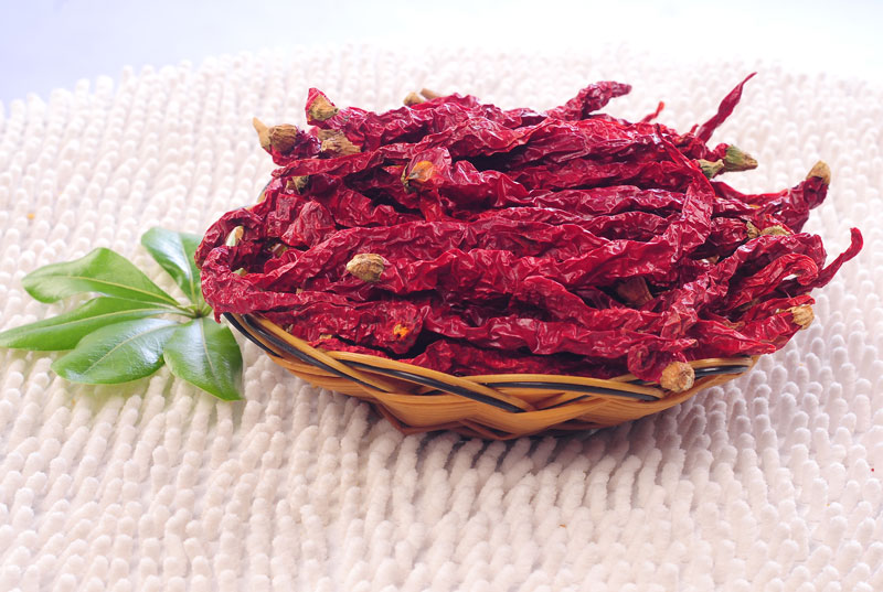 �½�������γɞ��硰���G�G�����{�@���c(di��n)!