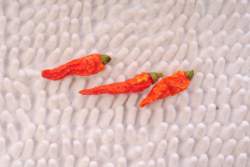 ��������;��ȫ�����B�i��偵���ʳ�u�����m�����(ch��ng)��